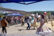 Cauquenes: Sector Barriales revivió tradicional trilla y actividades campesinas