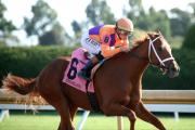 Kentucky Derby: Further Ado, ganador del Kentucky Jockey Club (G2) se prepara para su debut como tresañero