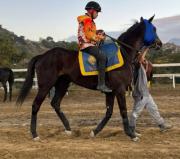 La nieta de los 1,7 millones de dólares: El debut que paraliza la jornada de este sábado en Caracas