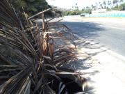 ¡Cuidado en la acera!