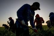 Visa de trabajo para EE.UU.: Requisitos para ecuatorianos en labores agrícolas