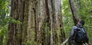 “Salvamos Cochamó”: Puelo Patagonia considera plan de conservación y manejo participativo en Fundo Puchegüín