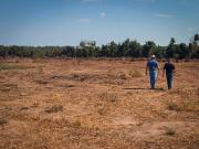 MADES interviene inmueble tras constatar tala indiscriminada en Santa Rita