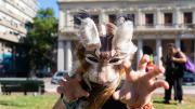 Reunión de therians en la Plaza Independencia: de qué se trata este fenómeno viral entre jóvenes
