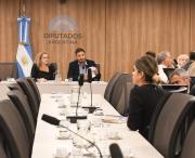 El diputado mendocino que quedó a cargo de una comisión clave en el Congreso