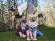 Therian: el movimiento que genera curiosidad y polémica en redes