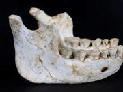 Hallazgo histórico en África: encuentran restos de un ancestro del Homo sapiens de 700 mil años