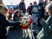Aloka: cuando el silencio camina más lejos que la violencia