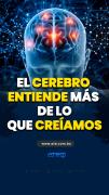 El cerebro entiende más de lo que creíamos
