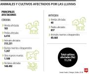 Ganaderos y agricultores, las principales víctimas de la tragedia invernal en Córdoba
