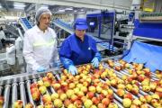 Chile no solo exporta productos, exporta confianza