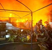 Linares: incendio produjo pérdida total de local de venta de comida rápida.