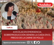 Avícolas en emergencia: Sobreproducción genera la caída en el precio de la carne de pollo