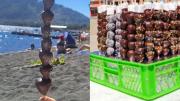 En medio de fiscalizaciones: Denuncianasquerosa verdad sobre frutillas con chocolate que se venden en las playas