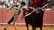 “Tardes de soledad”, un documental sobre toreros ensimismados y toros en su agonía