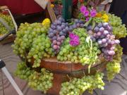 Productores de uva esperan fideicomiso del crédito externo logrado por Bolivia