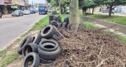 Santa Cruz: Vecinos denuncian la acumulación de llantas, maleza y microbasurales que generan criaderos de mosquitos