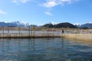 Condenan a empresa salmonera por afectar el fondo marino en Aysén