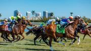 Los mejores briseos: anota los caballos que volaron para este jueves en Gulfstream Park