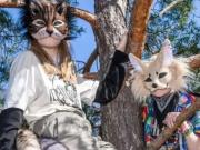 Una mujer denunció que su hija fue mordida por un therian