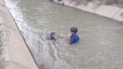 Heroico rescate de un Policía a un perro en el canal de riego