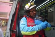 Incendio en Multicomercio dejó dos gatos rescatados y adultos mayores atendidos