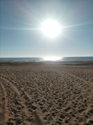 Temporada turística