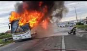 Ómnibus de Tala Pando se quemó por completo en la ruta 8; hizo un trasbordo minutos antes