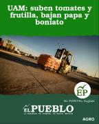 UAM: suben tomates y frutilla, bajan papa y boniato ‣ El Pueblo Digital Uruguay
