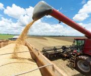 Cosecha de soja en Paraguay podría alcanzar récord esta temporada, dicen productores