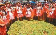 Comité Cívico de Tarija expresa esperanza para que la Vendimia 2026 sea un éxito y beneficie a todo El Valle con la llegada de turistas