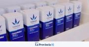 Aceite de cannabis medicinal sanjuanino: las ventajas con las que salió a ganar mercado en farmacias