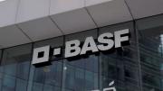 Representantes de BASF llegarán en marzo a Uruguay a reunirse con el gobierno por la reestructura de la compañía