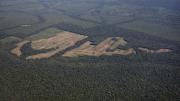 Deforestación en la Amazonia brasileña cae a mínimos históricos
