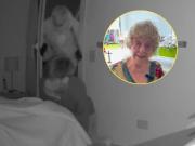 Tres ladrones menores de edad atacaron a una abuela influencer