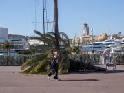 Los fuertes vientos dejan al menos tres heridos graves y varios lesionados en Cataluña: ráfagas de más de 150 km/h en Barcelona