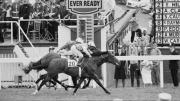 Secreto: La hazaña del propietario venezolano que conquistó el Epsom Derby hace 42 años