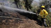 Senapred llama a evacuar sector de la región de Valparaíso por incendio forestal