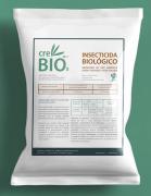 Gobierno Aprobó Producto Efectivo Contra el Picudo Rojo