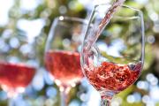 Vinos rosé: un refugio para las viñas ante la desaceleración general del consumo