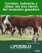 Corrales, industria y clima: las tres claves del momento ganadero ‣ Martin Ferreira Pinto