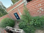 Desmantelan un vivero narco en Fernández Oro: la banda distribuía la droga por Telegram