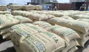 Exportan 30 contenedores con café venezolano hacia EEUU