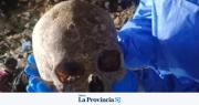 El enigma del cráneo encontrado en Albardón: avanzan las pericias en Córdoba