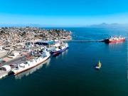 Terminal Puerto Coquimbo vive su primera temporada con los tres sitios de atraque en operación