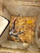 Hurto de cables dejó sin alumbrado parte de la plaza Lavalleja