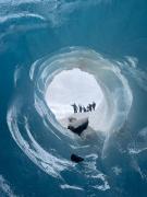 Organizaciones y autoridades de Río Tranquilo apoyan a permisionarios tras cierre de Glaciar Exploradores