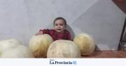 De Tres Esquinas al asombro: melones de 9 kilos sorprendentes
