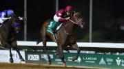 Forever Young arrasa en la Saudi Cup (G1) por segundo año consecutivo