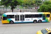Nuevos buses de Metrovía: Troncal 1 suma unidades y deja atrás los articulados